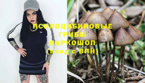 spice Абинск