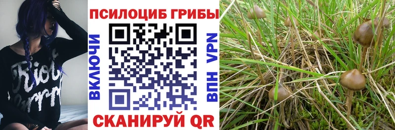 ОМГ ОМГ ссылка где можно купить наркотик мориарти официальный сайт Галлюциногенные грибы мицелий Вилюйск